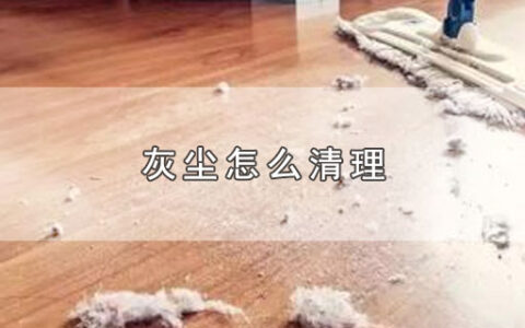 灰尘怎么清理