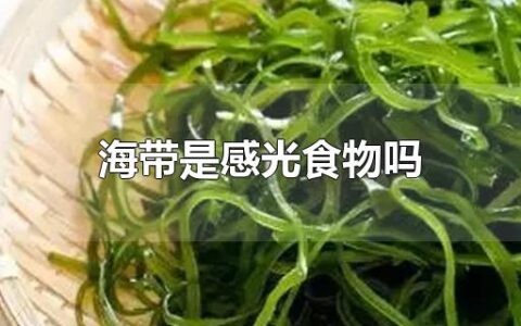 海带是感光食物吗