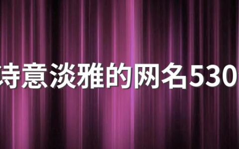 带有诗意淡雅的网名530个 文静又有内涵的网名