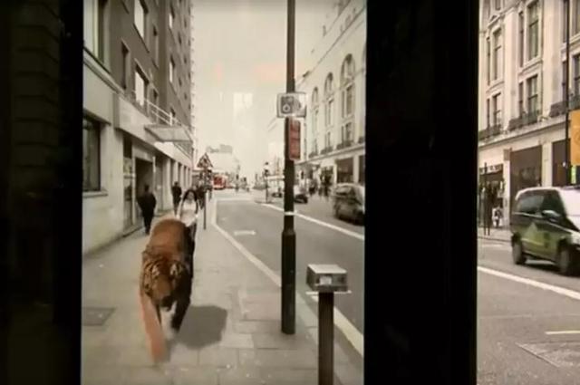 2019年最有创意的户外广告多种创新玩法