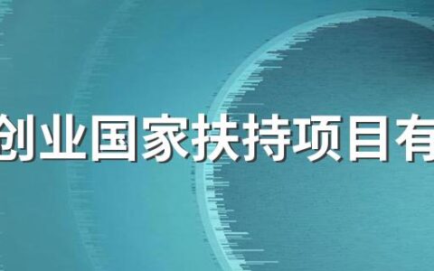 农村创业国家扶持项目有哪些​