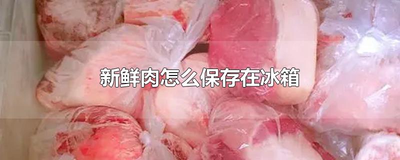 新鲜肉怎么保存在冰箱