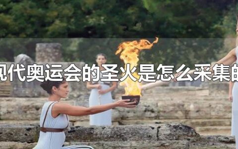 现代奥运会的圣火是怎么采集的