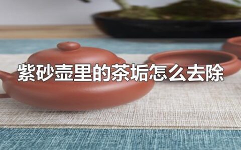 紫砂壶里的茶垢怎么去除
