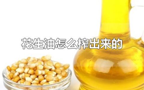 花生油怎么榨出来的