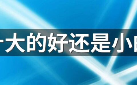 粽叶大的好还是小的好 粽叶怎么煮又软又香