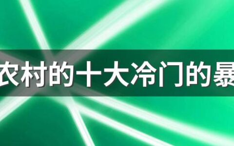 藏在农村的十大冷门的暴利小生意有哪些