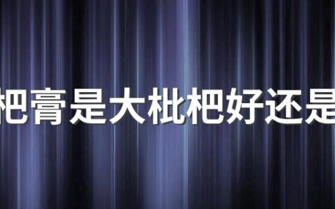熬枇杷膏是大枇杷好还是小枇杷好 枇杷膏熬成什么样就好了