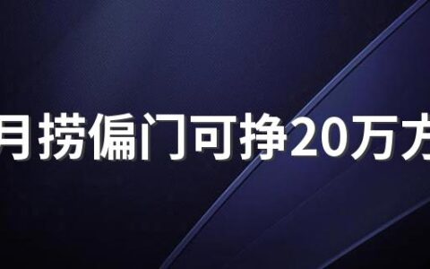 一个月捞偏门可挣20万方法