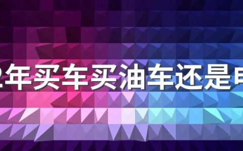 2022年买车买油车还是电车 2022年燃油车还值得买吗