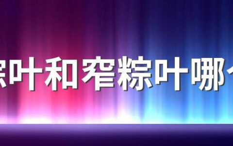 宽粽叶和窄粽叶哪个好 包粽子粽叶要煮吗