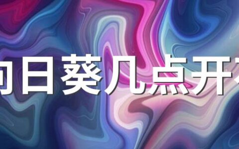 向日葵几点开花 向日葵养植要注意什么