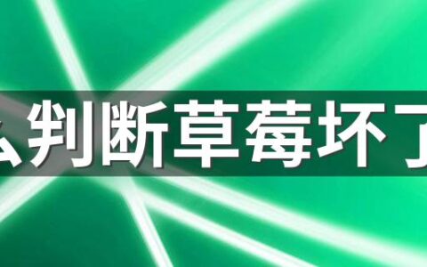 怎么判断草莓坏了没 草莓怎么判断是不是催熟的