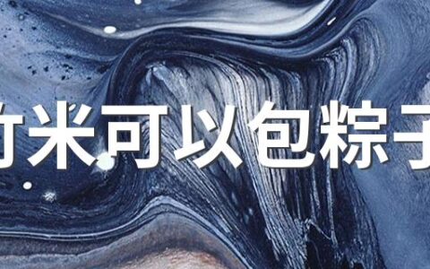 绿竹米可以包粽子吗 包粽子用什么米最好