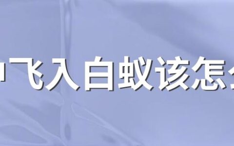 家中飞入白蚁该怎么办 室内发现白蚁怎么治