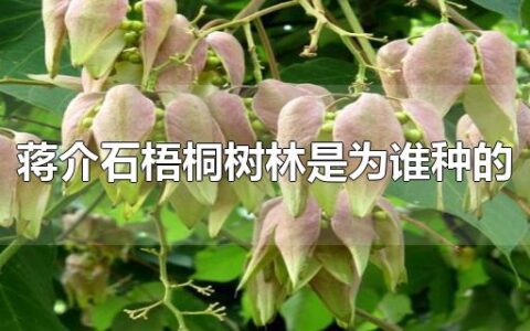 蒋介石梧桐树林是为谁种的