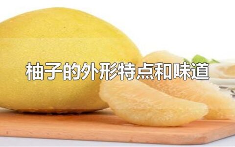 柚子的外形特点和味道