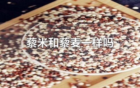 藜米和藜麦一样吗