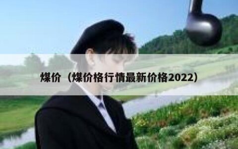 煤价（煤价格行情最新价格2022）