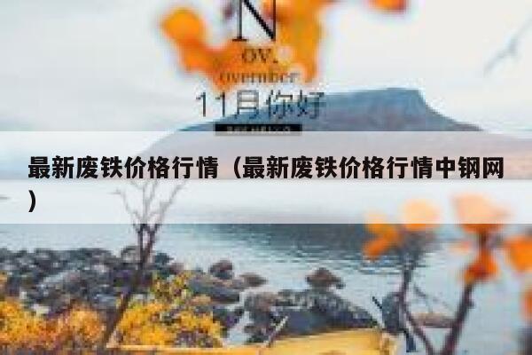 最新废铁价格行情（最新废铁价格行情中钢网） 第1张