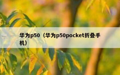 华为p50（华为p50pocket折叠手机）