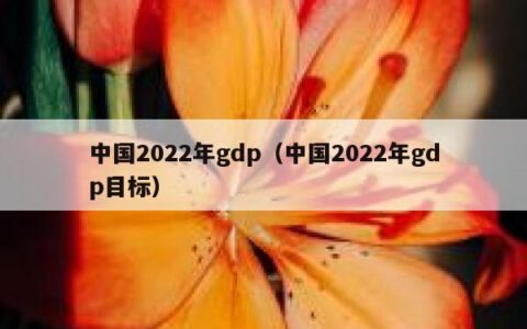 中国2022年gdp（中国2022年gdp目标）