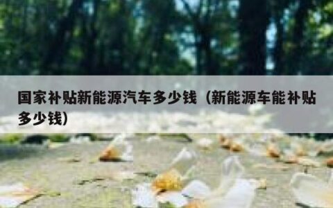 国家补贴新能源汽车多少钱（新能源车能补贴多少钱）