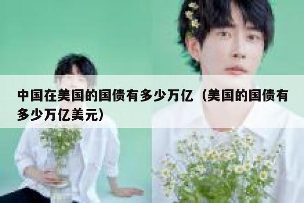 中国在美国的国债有多少万亿（美国的国债有多少万亿美元） 第1张