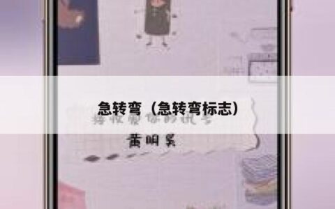 急转弯（急转弯标志）
