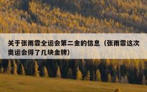 关于张雨霏全运会第二金的信息（张雨霏这次奥运会得了几块金牌）