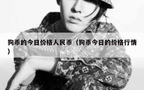 狗币的今日价格人民币（狗币今日的价格行情）