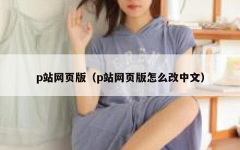 p站网页版（p站网页版怎么改中文）