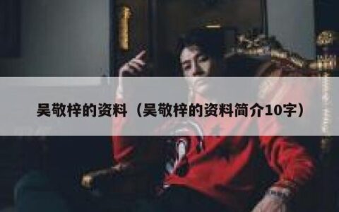 吴敬梓的资料（吴敬梓的资料简介10字）