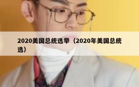 2020美国总统选举（2020年美国总统选）