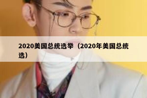 2020美国总统选举（2020年美国总统选） 第1张