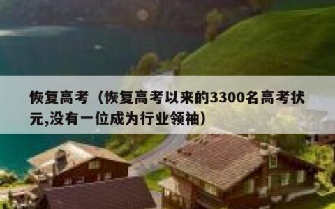 恢复高考（恢复高考以来的3300名高考状元,没有一位成为行业领袖）