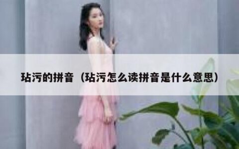 玷污的拼音（玷污怎么读拼音是什么意思）