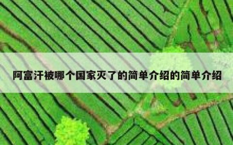 阿富汗被哪个国家灭了的简单介绍的简单介绍