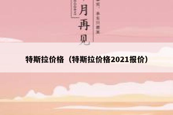 特斯拉价格（特斯拉价格2021报价） 第1张