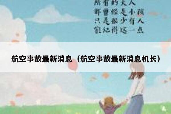 航空事故最新消息（航空事故最新消息机长） 第1张