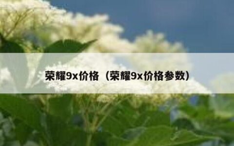 荣耀9x价格（荣耀9x价格参数）