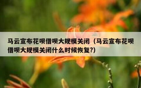 马云宣布花呗借呗大规模关闭（马云宣布花呗借呗大规模关闭什么时候恢复?）