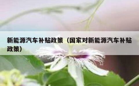 新能源汽车补贴政策（国家对新能源汽车补贴政策）