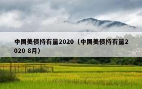 中国美债持有量2020（中国美债持有量2020 8月）