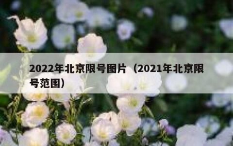 2022年北京限号图片（2021年北京限号范围）