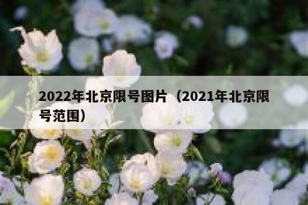 2022年北京限号图片（2021年北京限号范围） 第1张