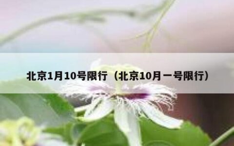 北京1月10号限行（北京10月一号限行）