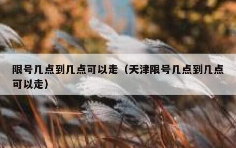 限号几点到几点可以走（天津限号几点到几点可以走）