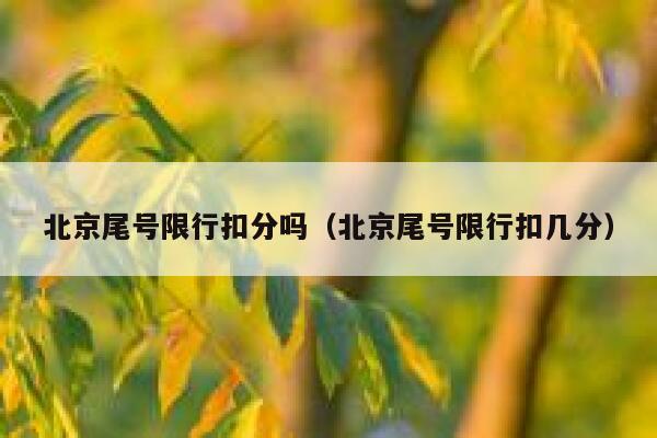 北京尾号限行扣分吗（北京尾号限行扣几分） 第1张