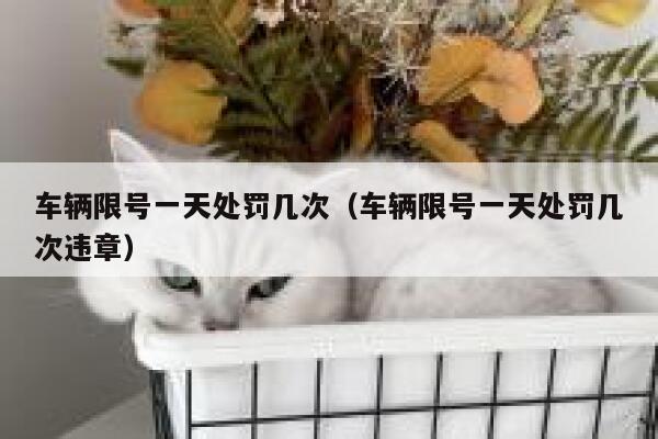 车辆限号一天处罚几次（车辆限号一天处罚几次违章） 第1张